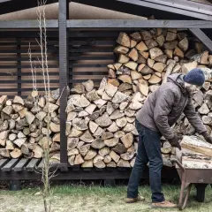 Mann lagert brennholz. Ein Mann mit Mütze und Jacke legt Holzscheite in eine Schubkarre, um sie zum Stapel zu bringen.