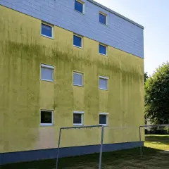 Grüne Algen auf gelber Hausfassade, ein Fall für Hausmittel zum Entfernen.