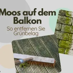 Moos auf dem Balkon entfernen: Ein Mieter schrubbt mit einer Bürste Grünbelag von Holz und Stein.