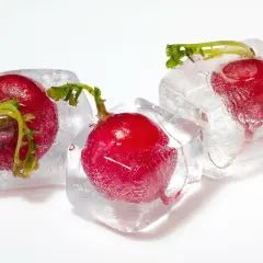 Drei rote Radieschen sind in Eiswürfel gefroren. Eine Methode, um Radieschen einzufrieren, die ihre Frische bewahrt.