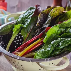 Bunter Mangold im Sieb, bereit zum Einfrieren. So bleiben Vitamine und Farbe erhalten.