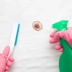 Mit Hausmitteln alte Blutflecken entfernen: Eine Hand in pinker Handschuh hält eine Sprühflasche, die andere eine Bürste, um einen Fleck auf weißem Stoff zu bearbeiten.