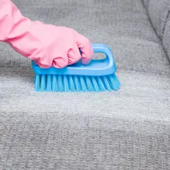 Hand in pink glove uses blue brush to remove blutflecken from grey sofa fabric.