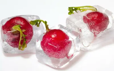 Drei rote Radieschen sind in Eiswürfel gefroren. Eine Methode, um Radieschen einzufrieren, die ihre Frische bewahrt.