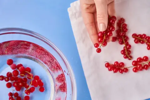 Rote Johannisbeeren werden für das Einfrieren vorbereitet. Eine Hand hält einen Zweig, während andere auf einem Tuch liegen.