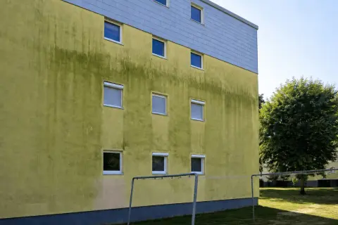 Grüne Algen auf gelber Hausfassade, ein Fall für Hausmittel zum Entfernen.