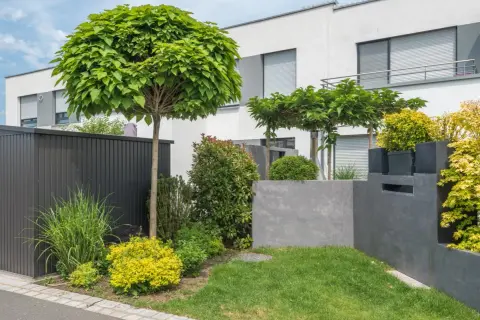Moderne vorgarten ideen: Ein Vorgarten mit Kugelbaum, Ziergräsern und gelben Büschen vor einem modernen Haus.