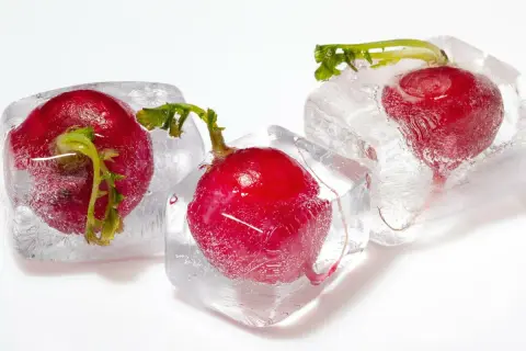 Drei rote Radieschen sind in Eiswürfel gefroren. Eine Methode, um Radieschen einzufrieren, die ihre Frische bewahrt.