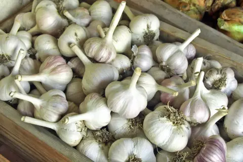 Frische Knoblauchzehen, bereit zum Verkauf oder zum richtigen **knoblauch lagern**. Sie liegen in einer Holzkiste, einige mit violetten Streifen.