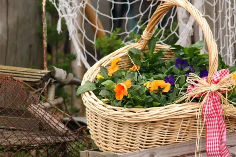 Ein gefüllter Weidenkorb mit bunten Blumen, bereit für den Frühling. Der Korb ist mit einem rot-weißen Karoband verziert.