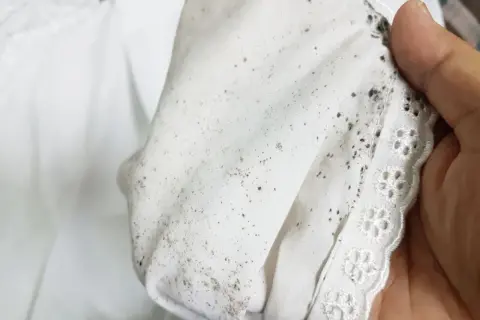 Schimmelige Stoffe: Ein Blick auf hartnäckige stockflecken kleidung entfernen. Die weißen Textilien sind mit dunklen Flecken übersät.