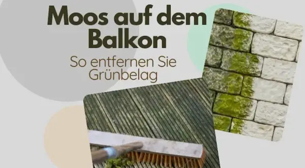 Moos auf dem Balkon entfernen: Ein Mieter schrubbt mit einer Bürste Grünbelag von Holz und Stein.