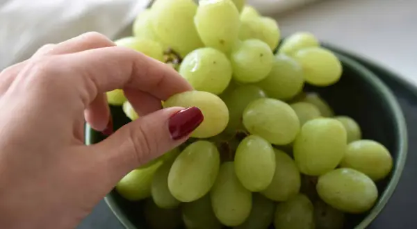 Eine Hand pflückt grüne Weintrauben aus einer Schüssel. Perfekt zum Snacken oder um sie später einzufrieren.