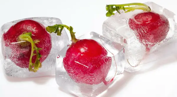 Drei rote Radieschen sind in Eiswürfel gefroren. Eine Methode, um Radieschen einzufrieren, die ihre Frische bewahrt.