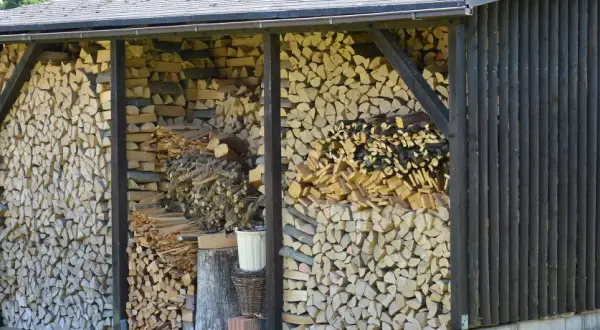 Ein Holzunterstand bauen: Gestapeltes Brennholz wartet unter einem Dach. Daneben eine Garage und grüne Büsche.