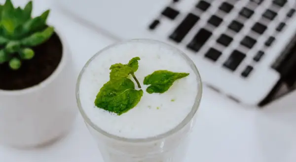 Erfrischender Drink mit Minze, ideal zum Minze einfrieren für später. Daneben eine kleine Pflanze und ein Laptop.