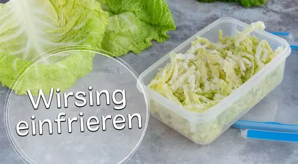 Frischer Wirsing, geschnitten und bereit zum Einfrieren in einer transparenten Box. So bleibt das Gemüse lange haltbar.