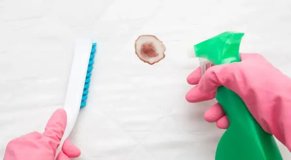 Mit Hausmitteln alte Blutflecken entfernen: Eine Hand in pinker Handschuh hält eine Sprühflasche, die andere eine Bürste, um einen Fleck auf weißem Stoff zu bearbeiten.