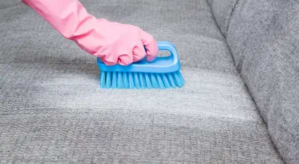 Hand in pink glove uses blue brush to remove blutflecken from grey sofa fabric.