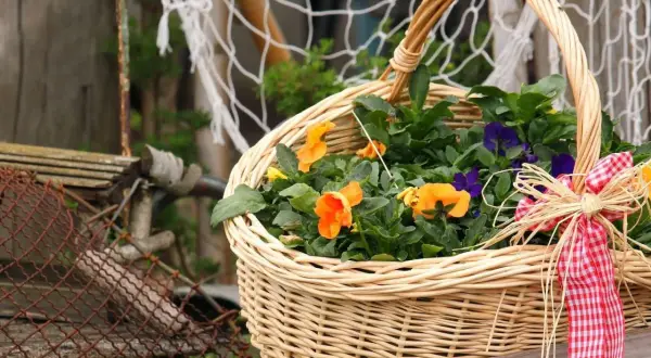 Ein gefüllter Weidenkorb mit bunten Blumen, bereit für den Frühling. Der Korb ist mit einem rot-weißen Karoband verziert.