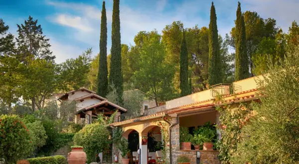 Idyllische mediterrane gartengestaltung mit Zypressen, Olivenbäumen und einem Steingebäude.