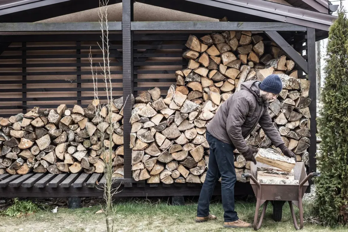Mann lagert brennholz. Ein Mann mit Mütze und Jacke legt Holzscheite in eine Schubkarre, um sie zum Stapel zu bringen.
