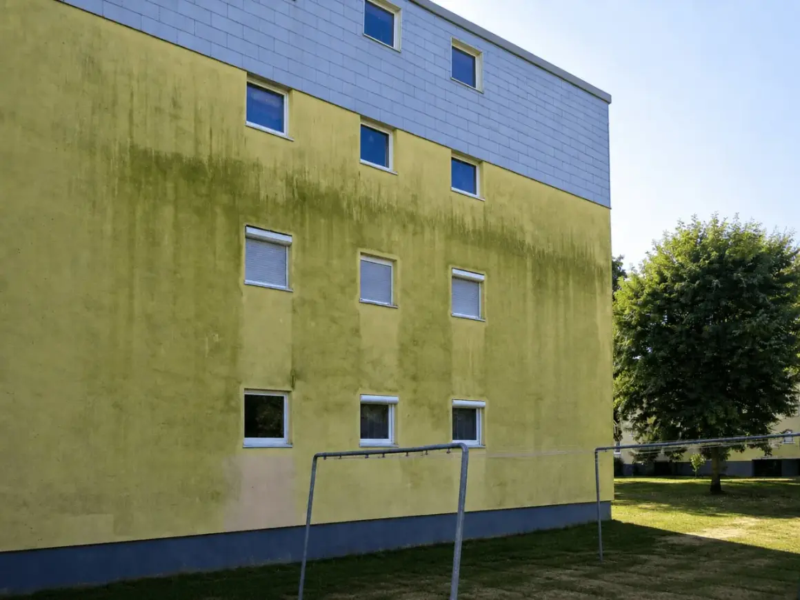 Grüne Algen auf gelber Hausfassade, ein Fall für Hausmittel zum Entfernen.