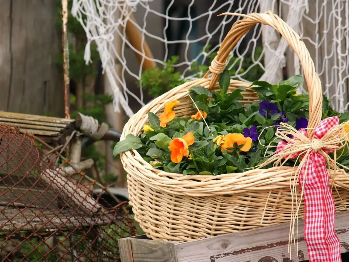 Ein gefüllter Weidenkorb mit bunten Blumen, bereit für den Frühling. Der Korb ist mit einem rot-weißen Karoband verziert.