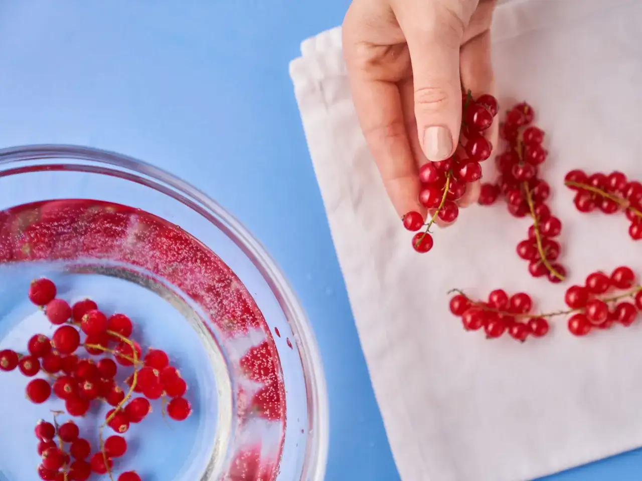 Johannisbeeren einfrieren - so bleiben sie lange aromatisch