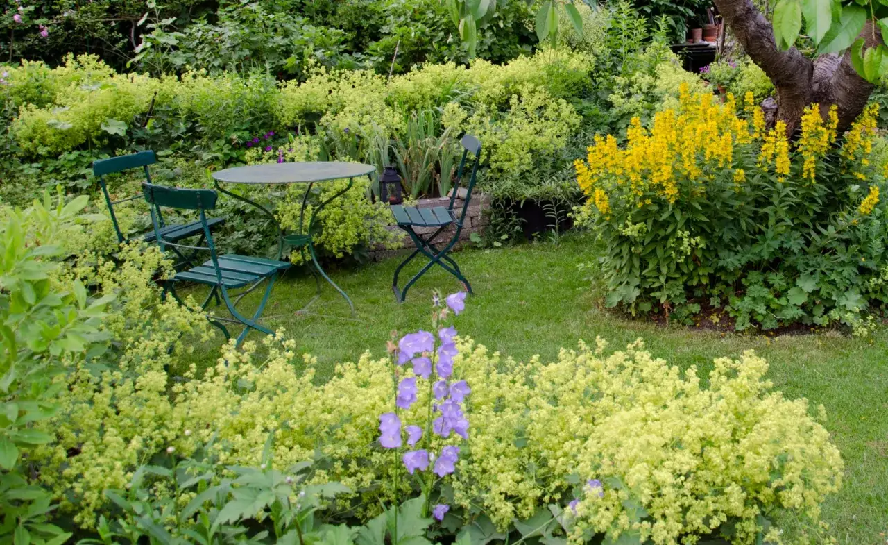 Ein schmal kleiner garten gestalten: gr&uuml;ne Gartenm&ouml;bel laden zum Verweilen ein, umgeben von &uuml;ppiger Bepflanzung mit gelben und lila Bl&uuml;ten.