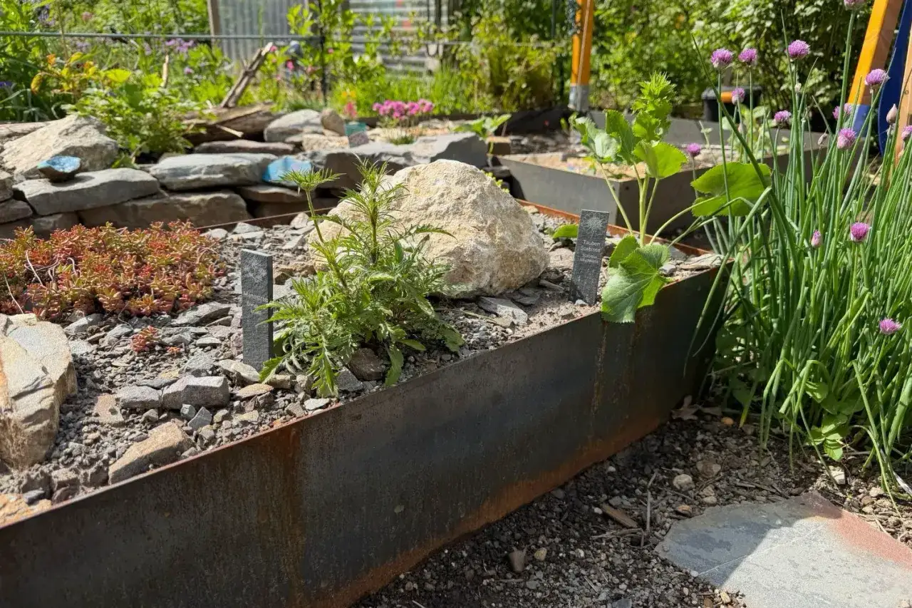 Rostige Stahlbeeteinfassungen mit Steinen und Pflanzen. Tolle Beeteinfassung Ideen f&uuml;r einen modernen Garten.
