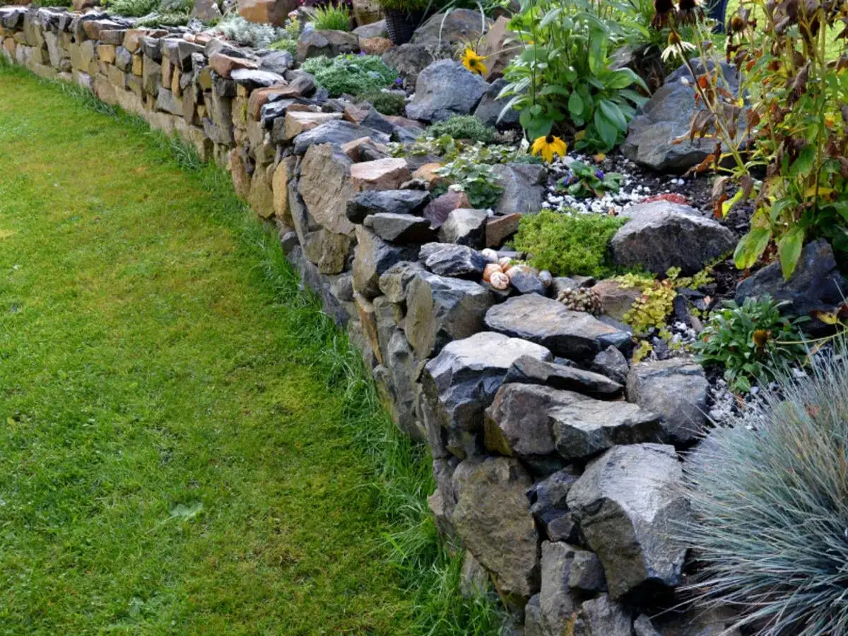 Eine rustikale Trockenmauer bauen: Steine und Pflanzen bilden eine nat&uuml;rliche Grenze neben einem gr&uuml;nen Rasen.