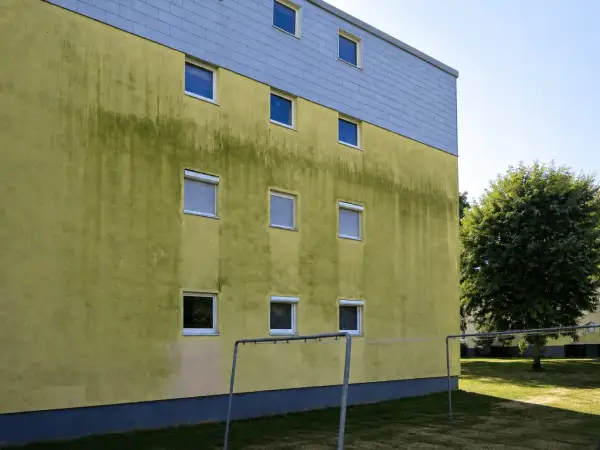 Grüne Algen auf gelber Hausfassade, ein Fall für Hausmittel zum Entfernen.
