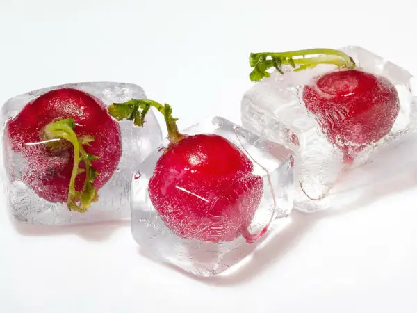 Drei rote Radieschen sind in Eiswürfel gefroren. Eine Methode, um Radieschen einzufrieren, die ihre Frische bewahrt.