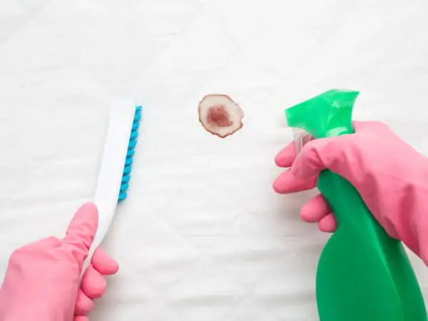 Mit Hausmitteln alte Blutflecken entfernen: Eine Hand in pinker Handschuh hält eine Sprühflasche, die andere eine Bürste, um einen Fleck auf weißem Stoff zu bearbeiten.
