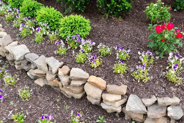 Natürliche Steinmauer als Beeteinfassung. Ideen für einen rustikalen Garten mit Stiefmütterchen und Rosen.