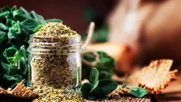 Ein Glas mit getrocknetem Oregano, daneben frische Zweige. Perfekt für die Küche, um Speisen zu würzen.