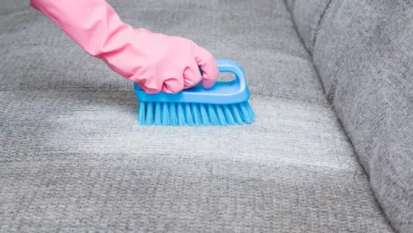 Hand in pink glove uses blue brush to remove blutflecken from grey sofa fabric.